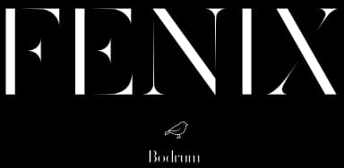 Fenix Kurumsal Web Altyapısı